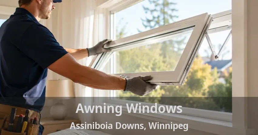 Awning Windows Assiniboia Downs, Winnipeg - MB