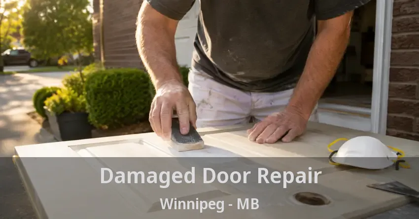 Damaged Door Repair Winnipeg - MB