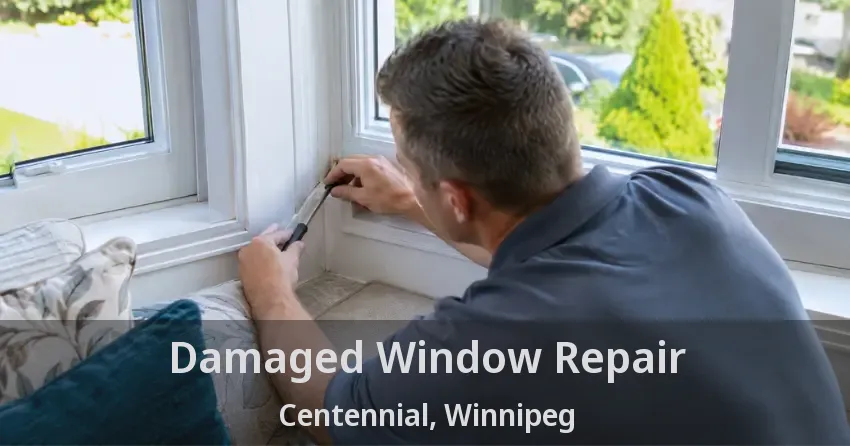 Damaged Window Repair Centennial, Winnipeg - MB