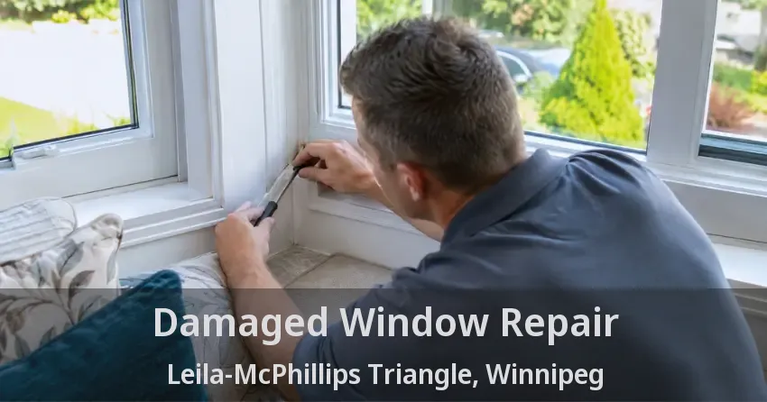 Damaged Window Repair Leila-McPhillips Triangle, Winnipeg - MB