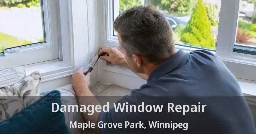 Damaged Window Repair Maple Grove Park, Winnipeg - MB