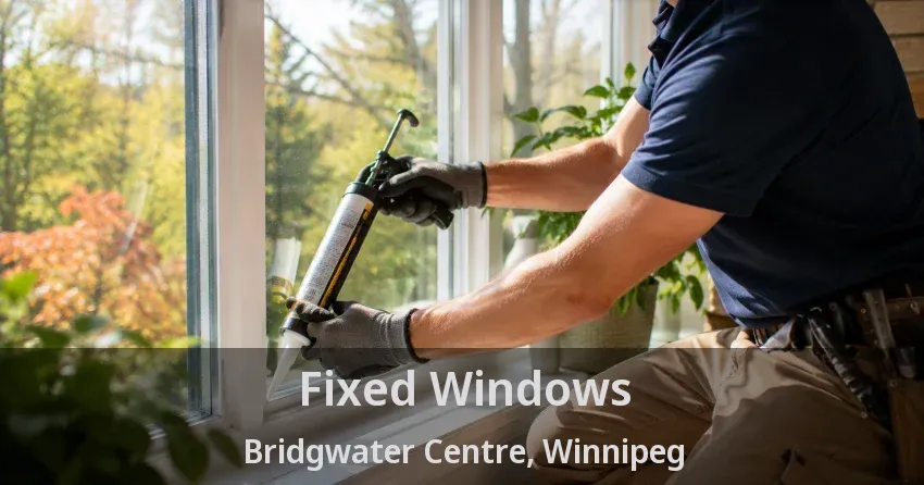 Fixed Windows Bridgwater Centre, Winnipeg - MB