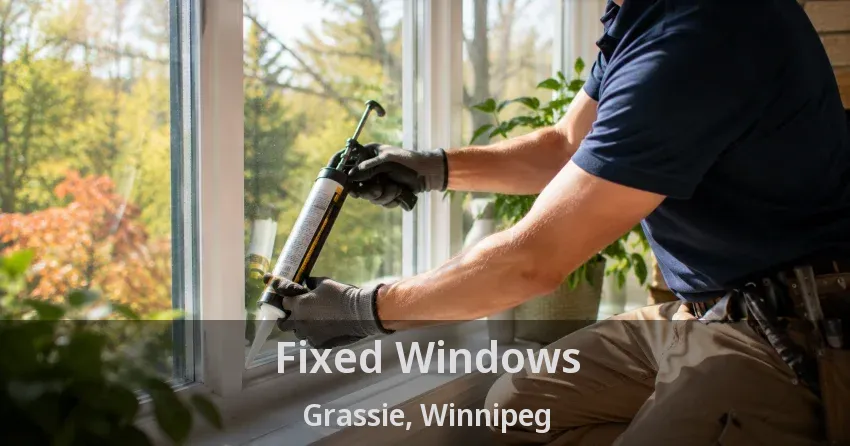 Fixed Windows Grassie, Winnipeg - MB