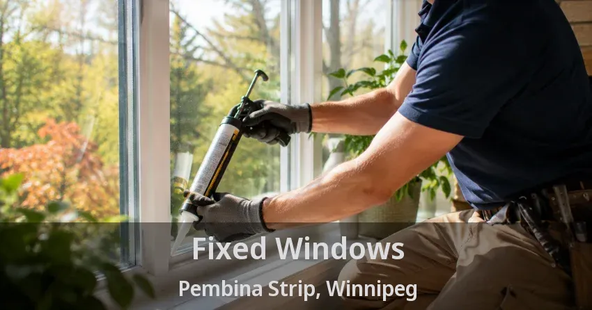 Fixed Windows Pembina Strip, Winnipeg - MB