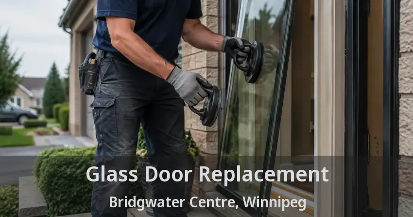 Glass Door Replacement Bridgwater Centre, Winnipeg - MB
