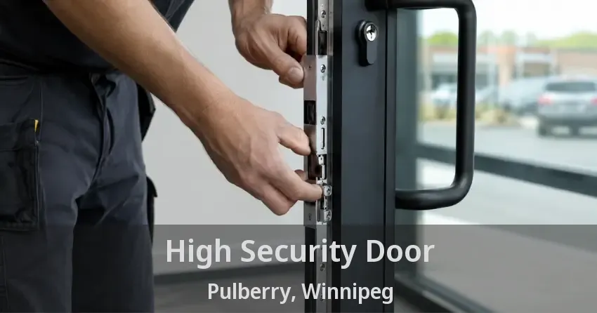 High Security Door Pulberry, Winnipeg - MB