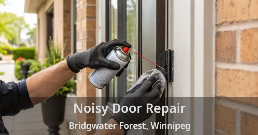 Noisy Door Repair Bridgwater Forest, Winnipeg - MB