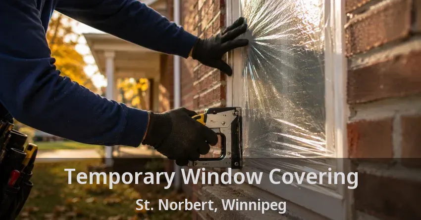 Temporary Window Covering St. Norbert, Winnipeg - MB