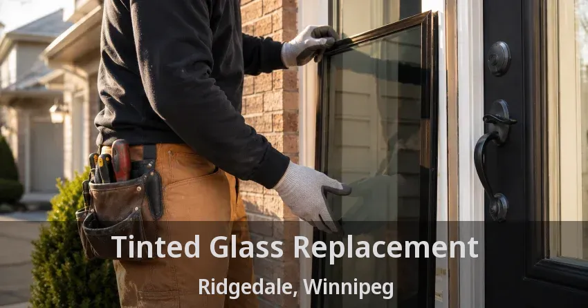 Tinted Glass Replacement Ridgedale, Winnipeg - MB