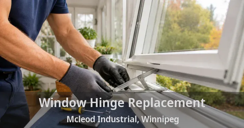 Window Hinge Replacement Mcleod Industrial, Winnipeg - MB